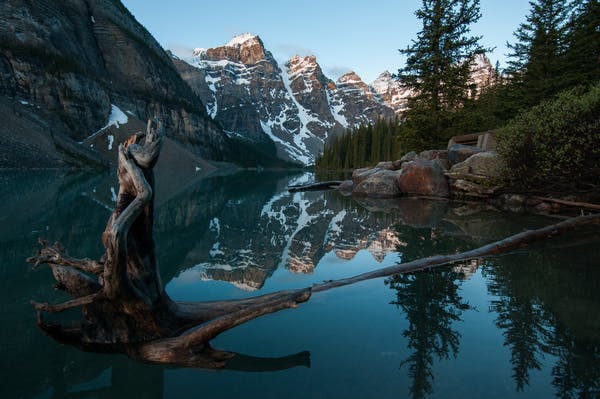 nature image