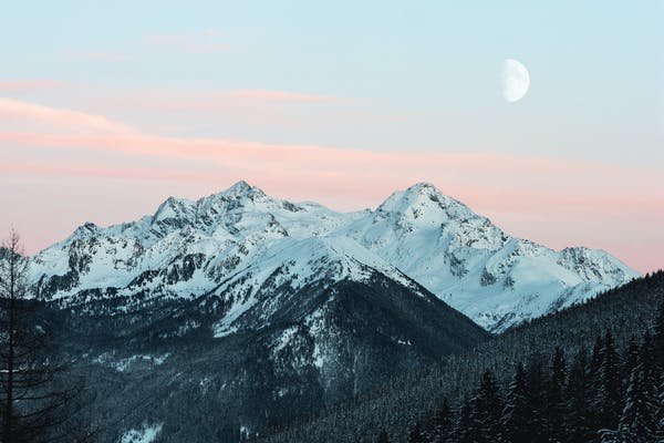 nature image