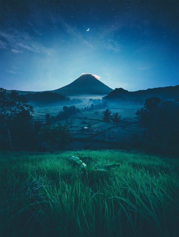 nature image
