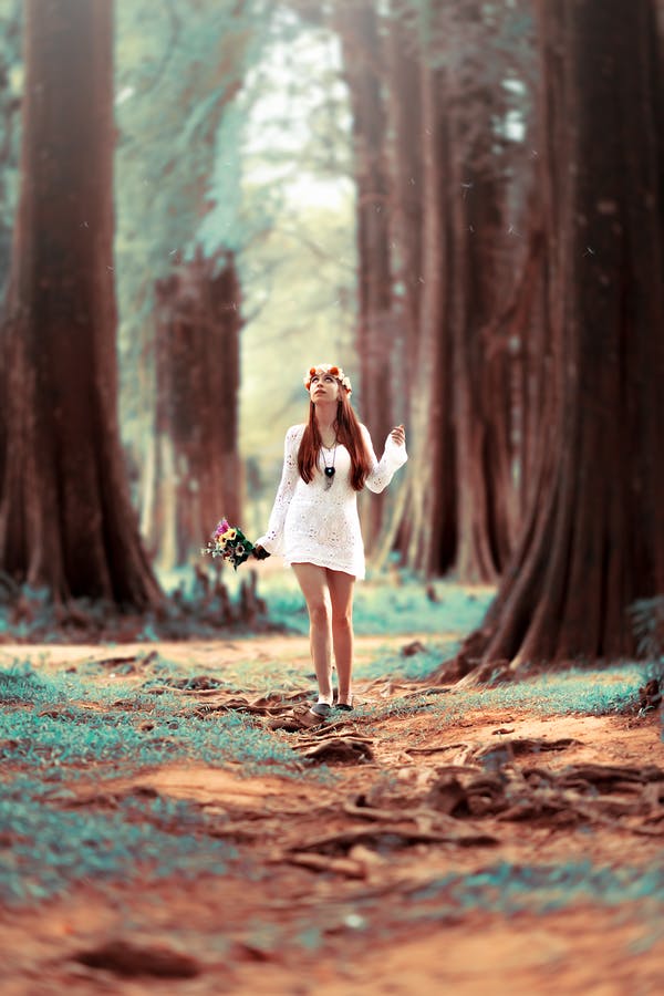 nature image